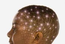 Psicología organizacional y su función empresarial Psicologia organizacional y su funcin empresarial