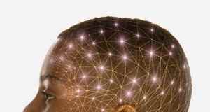 Psicología organizacional y su función empresarial Psicologia organizacional y su funcin empresarial