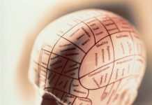 ¿Qué es la psicología social? Qué es la psicología social