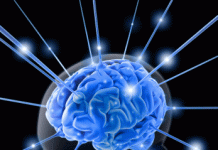 La aplicación de la psicología organizacional La aplicación de la psicología organizacional