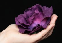 Usar la psicología inversa para que una mujer se fije en ti Psicología inversa para que una mujer se fije en ti