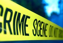 Diferencias entre la psicología criminal y forense Diferencias entre la psicología criminal y forense