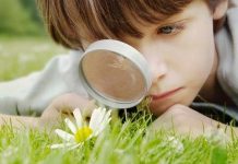 La Psicología ambiental aplicada en niños Psicología del ambiente aplicada en niños