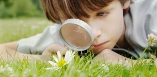 La Psicología ambiental aplicada en niños Psicología del ambiente aplicada en niños