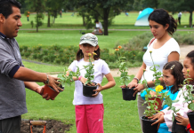 La psicología ambiental, las actitudes y la educación ambiental Psicología ambiental - Educación ambiental